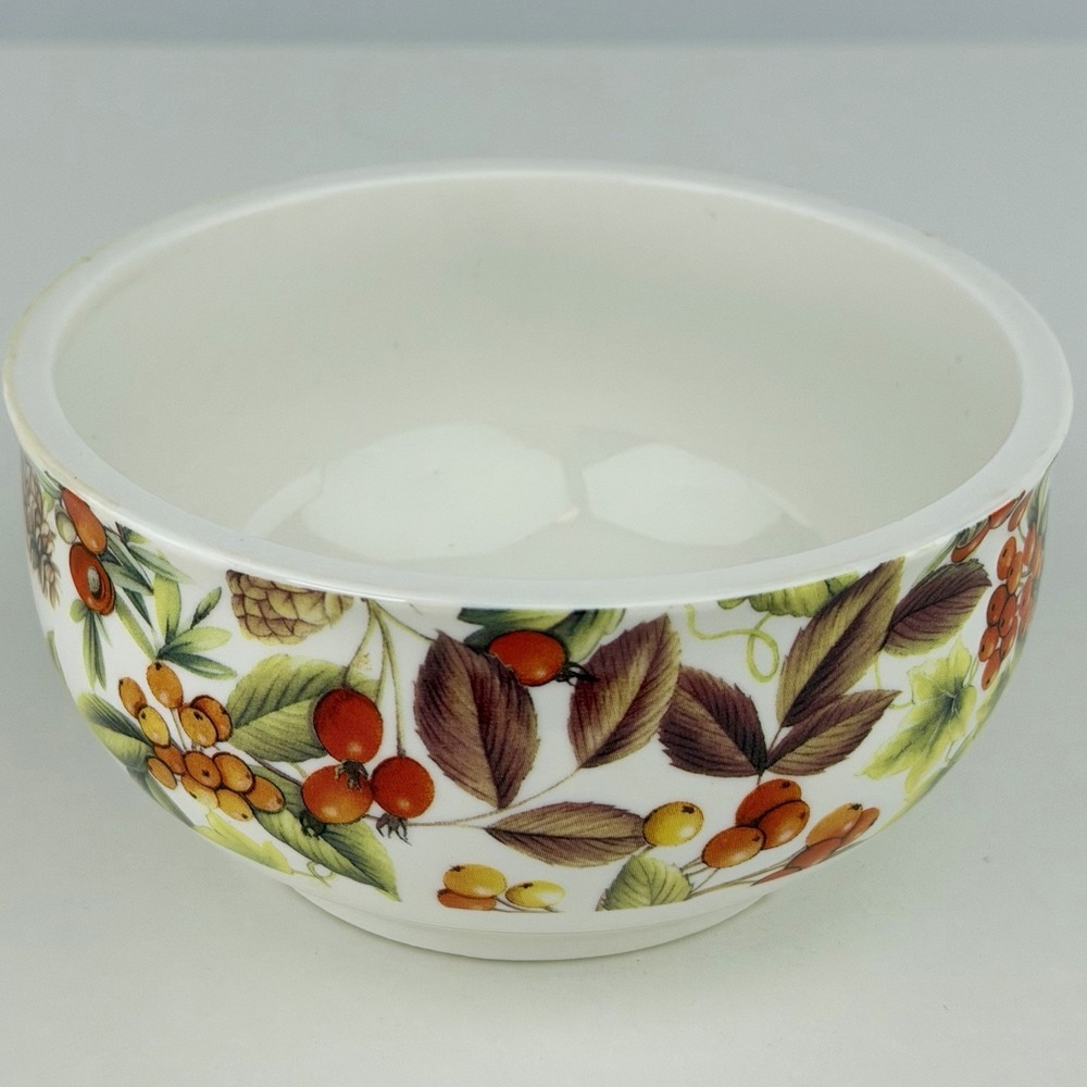 Gracie China Coastline Imports Autumn Berries Serving Bowl 5" Fall Botanical - Picture 2 of 4